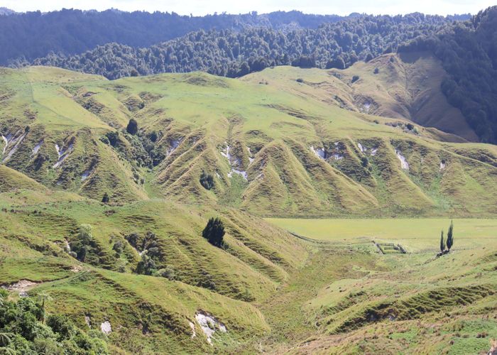  at 65 Tawhiwhi Road, Stratford East, Stratford, Taranaki