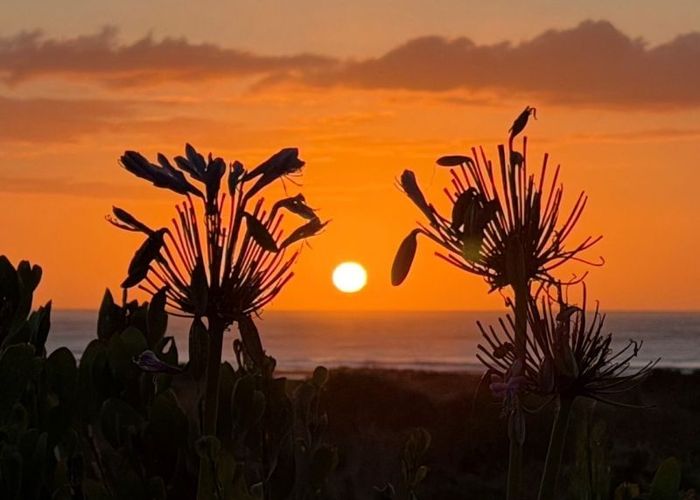  at 7 Kent Av, Waitarere, Horowhenua, Manawatu / Whanganui