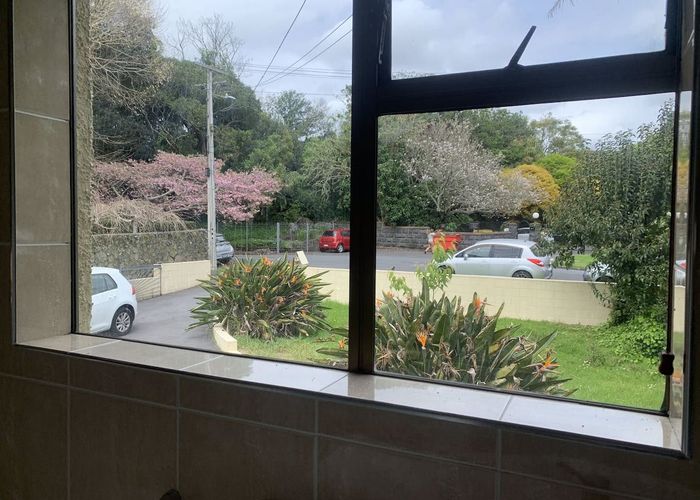  at 15 Glenfell Place, Epsom, Auckland