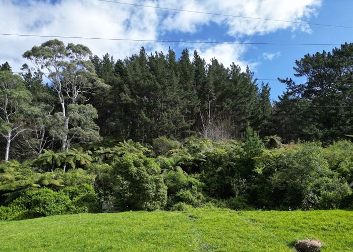  at Te Paki Road, Shannon, Horowhenua, Manawatu / Whanganui
