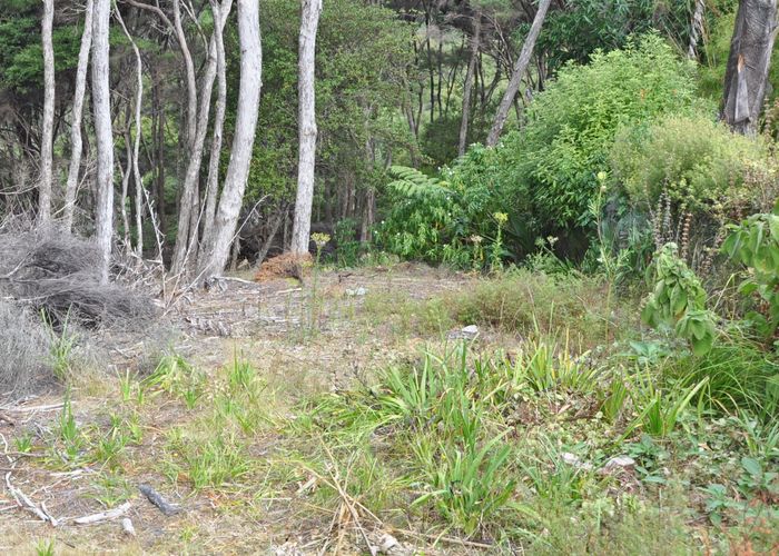  at 6 Lavinia Place, Kawau Island