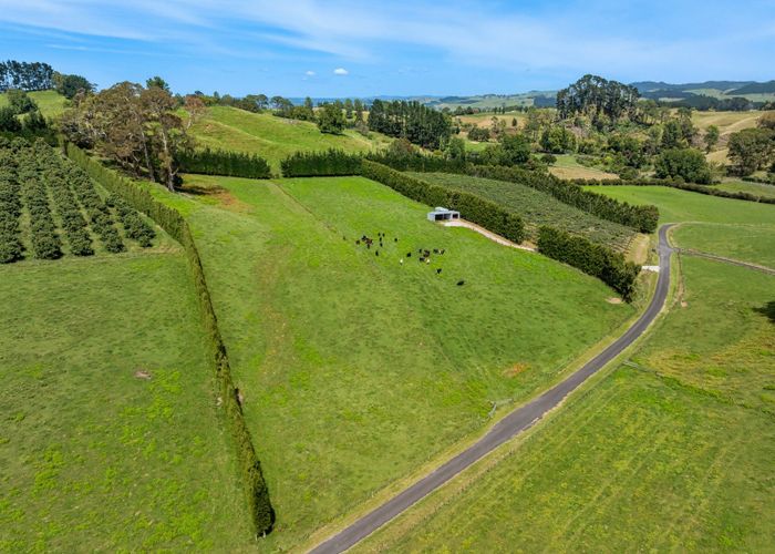  at 449 Crawford Road, Te Puna, Western Bay Of Plenty, Bay Of Plenty