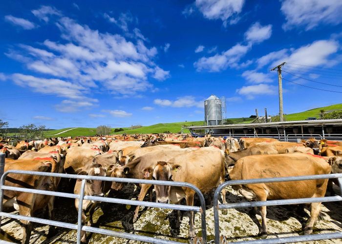  at 213 Lindquist Road, Paparoa, Kaipara, Northland