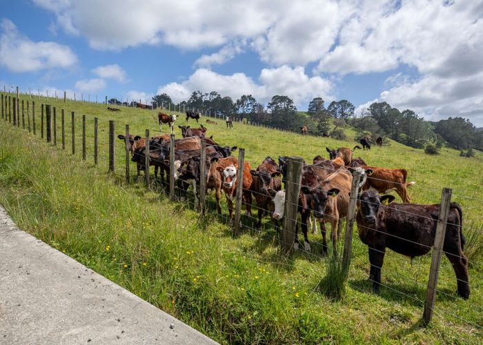  at 450 Komokoriki Hill Road, Makarau, Rodney, Auckland