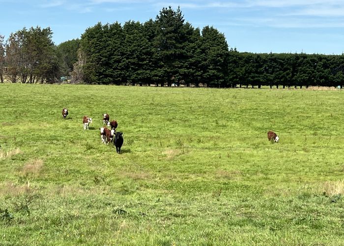  at 55 McKellar Road, Seaward Bush, Invercargill, Southland