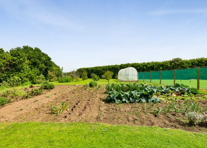  at 219 Brown Road, Brixton, Waitara