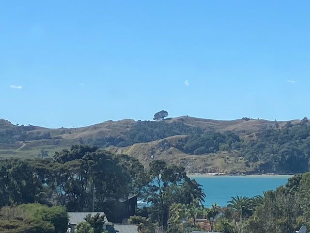  at 18 Violet Street, Raglan, Raglan
