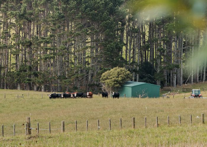  at 64 Haszard Road, Taupaki, Rodney, Auckland
