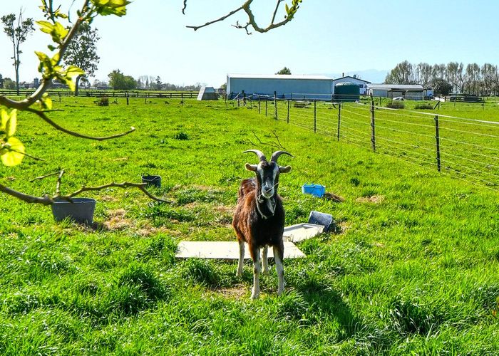  at 981 Hauraki Road, Thames