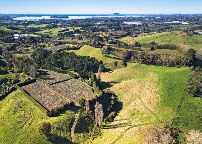  at 400 Old Highway, Whakamarama, Western Bay Of Plenty, Bay Of Plenty