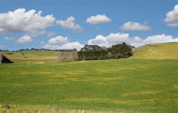  at 41 McNaughten Road, Waiuku, Franklin, Auckland