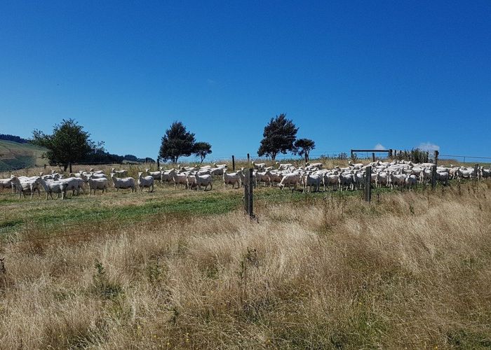  at 890 Mount Stuart Road, Balclutha, Clutha, Otago