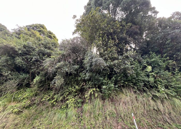  at Lot . Omoto Valley Road, Greymouth, Grey, West Coast