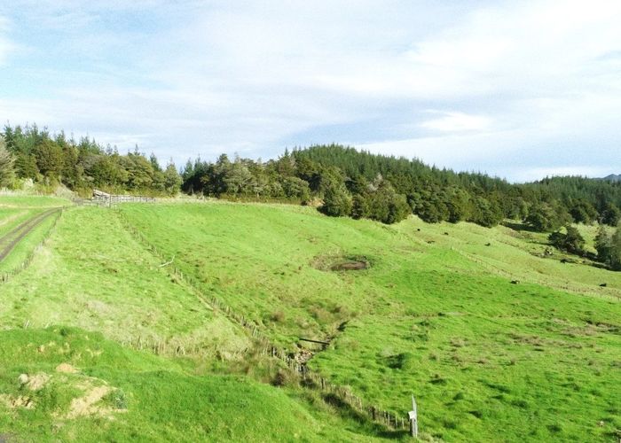  at 109 Paponga Road, Broadwood, Kohukohu