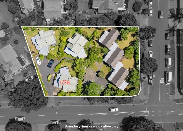  at 3/36 Woodward Road, Mount Albert, Auckland City, Auckland
