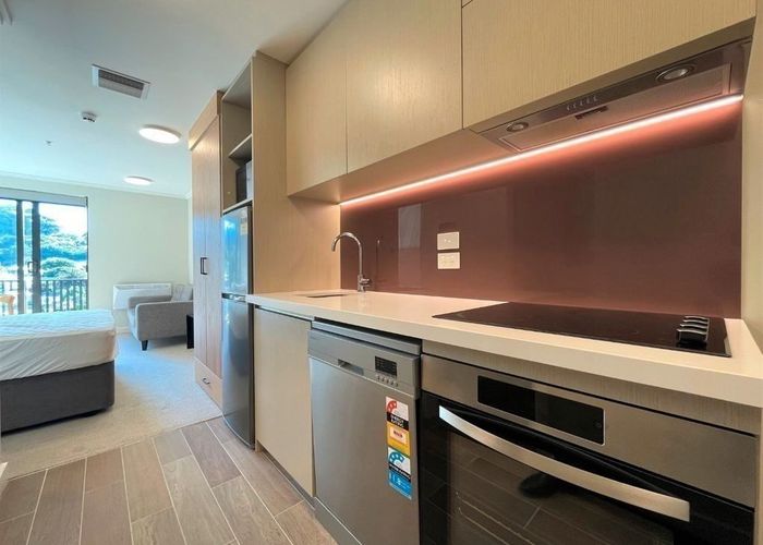  at 3.01/30 Owen St, Newtown, Wellington, Wellington