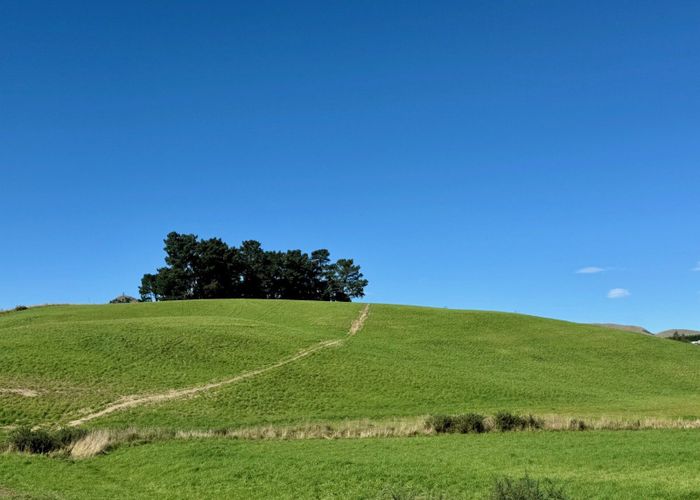  at 116 Burraness Street, Palmerston, Waitaki, Otago