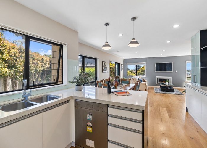  at 41b Konini Road, Greenlane, Auckland City, Auckland