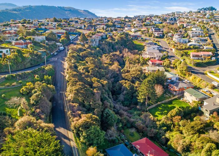 at 115 Dunrobin Street, Waverley, Dunedin, Otago