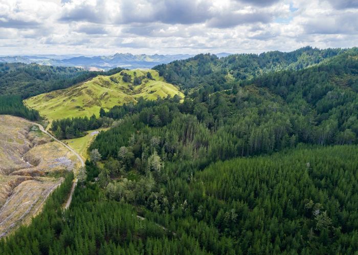  at 939 Kaiwhata Road, Carterton, Carterton, Wellington