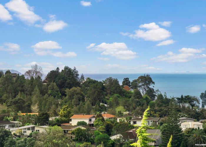  at 62 Fitzwilliam Drive, Torbay, Auckland