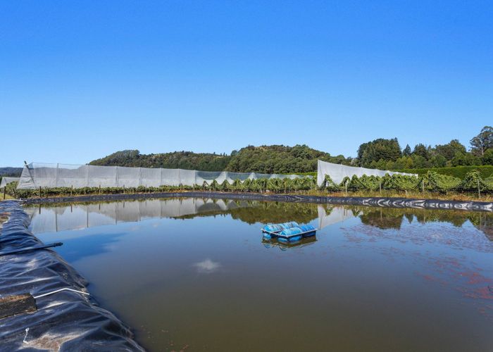  at 19 and 39 Butler Road, Te Teko, Whakatane, Bay Of Plenty