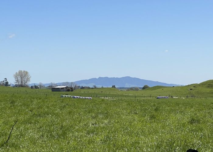  at 133 Newell Road, Kinleith, Tokoroa