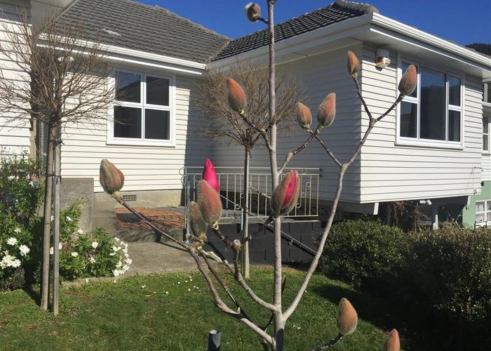  at 41 Larsen Crescent, Tawa, Wellington