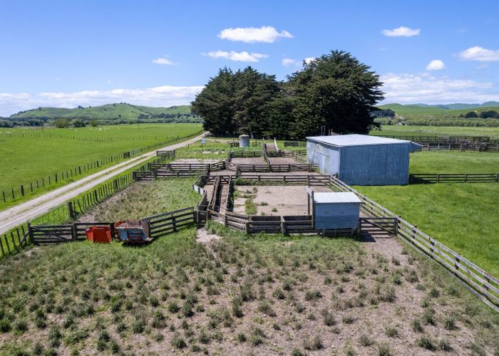  at 253 Oringi Road, Dannevirke, Tararua, Manawatu / Whanganui