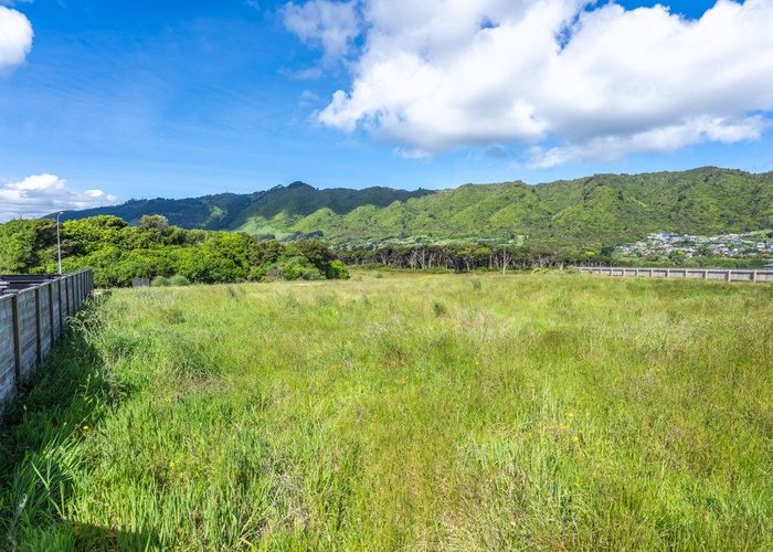  at 159 Karuhiruhi Street, Waikanae, Kapiti Coast, Wellington