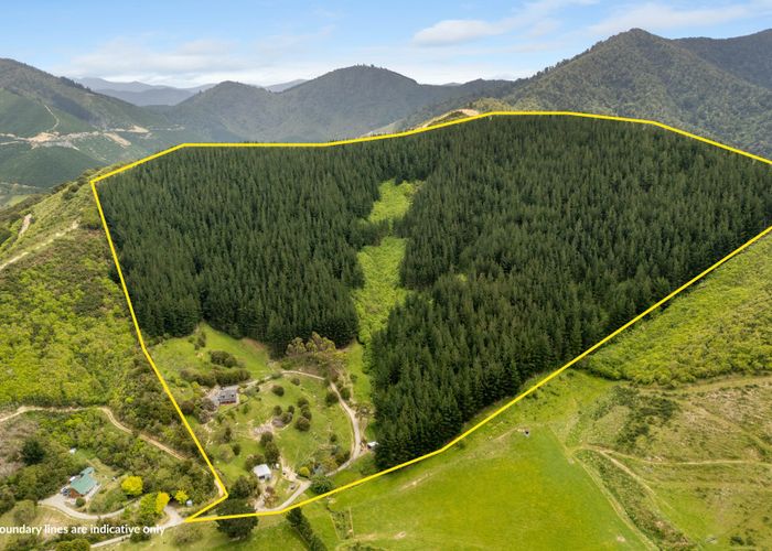  at 125 Kaiuma Bay Road, Havelock, Marlborough, Marlborough