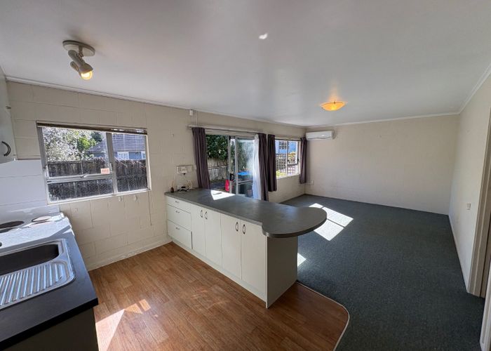  at 2/3 Edenvale Park Rd, Mount Eden, Auckland City, Auckland