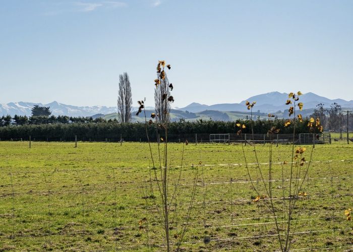  at 1 Opihi Road, Pleasant Point, Timaru, Canterbury