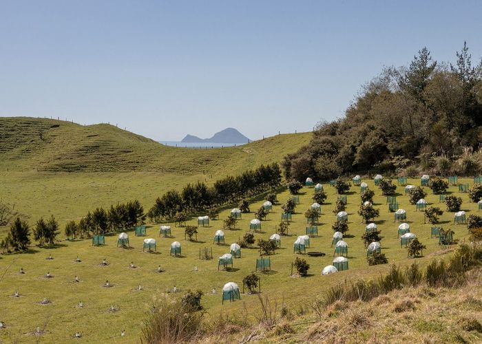  at 230b Withy Road, Manawahe, Whakatane, Bay Of Plenty