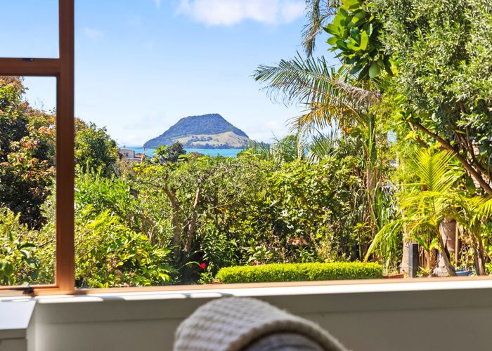  at 91 Pillans Road, Otumoetai, Tauranga, Bay Of Plenty