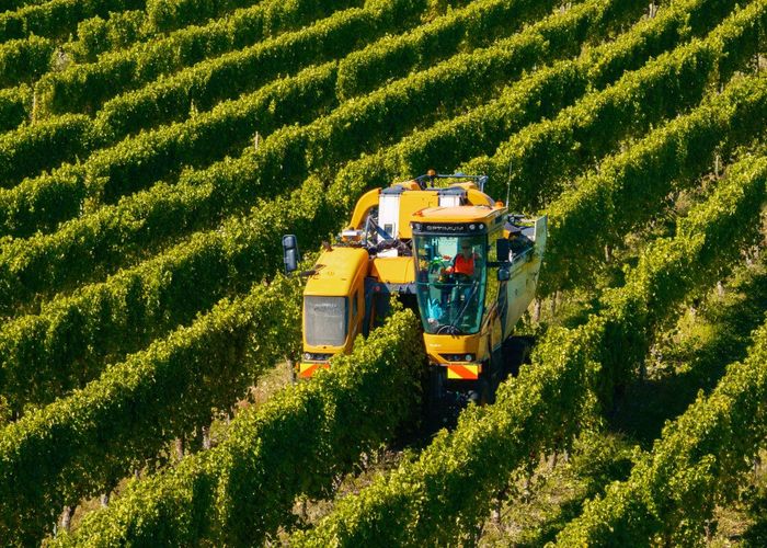  at 1 Wairau Plains, Renwick, Marlborough, Marlborough