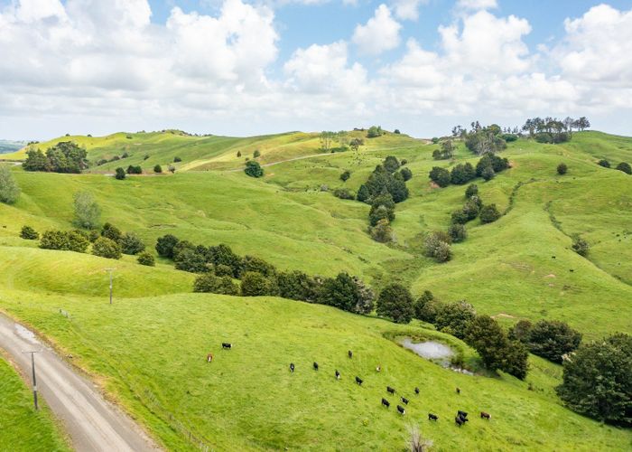  at Mangarata Block Road (19.41 ha), Tangiteroria, Kaipara, Northland