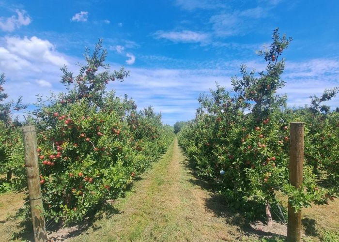  at Rockit Orchard No.2 LP, Hastings Central, Hastings, Hawke's Bay
