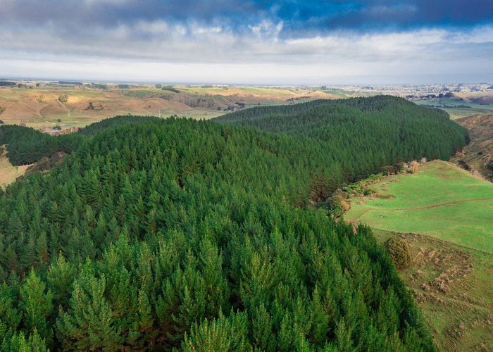  at Okoia Forests 1 & 2, Okoia, Whanganui, Manawatu / Whanganui