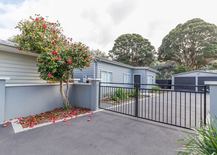  at 1B Williams Grove, Melling, Lower Hutt