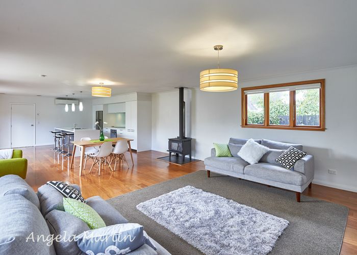  at 486 Ruahine Street, Terrace End, Palmerston North