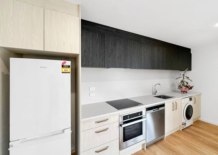  at 22 Frederick Street, Waltham, Christchurch City, Canterbury