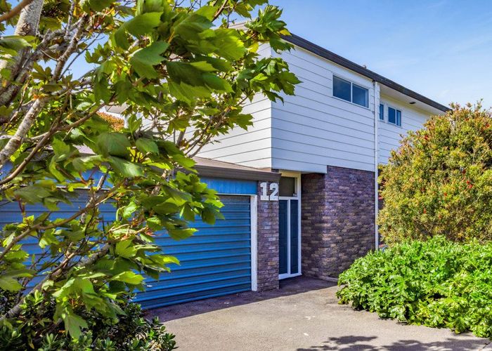  at 12 Erin Street, Hawera