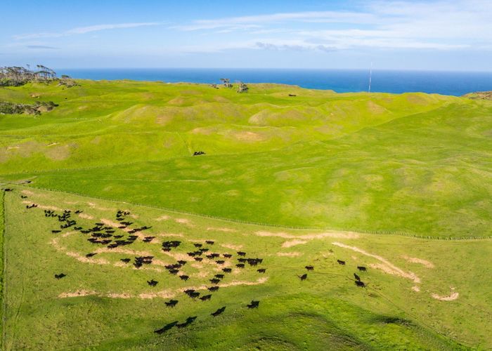  at Pinaki Road, Dargaville, Kaipara, Northland