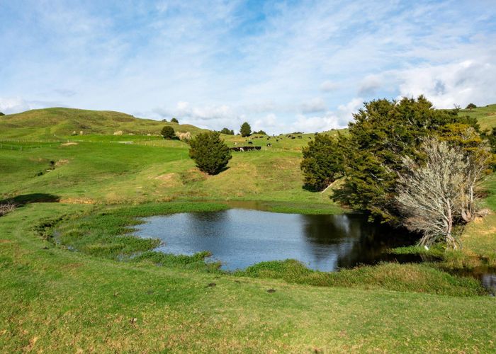  at 184 Tangowahine Valley Road, Tangowahine, Kaipara, Northland