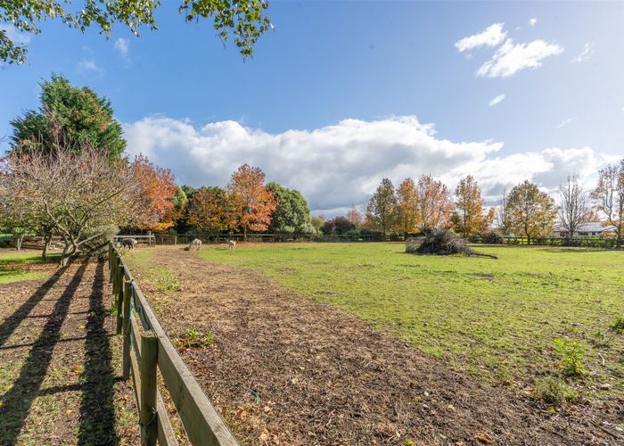  at 15 Broadmeadows Road, Tamahere