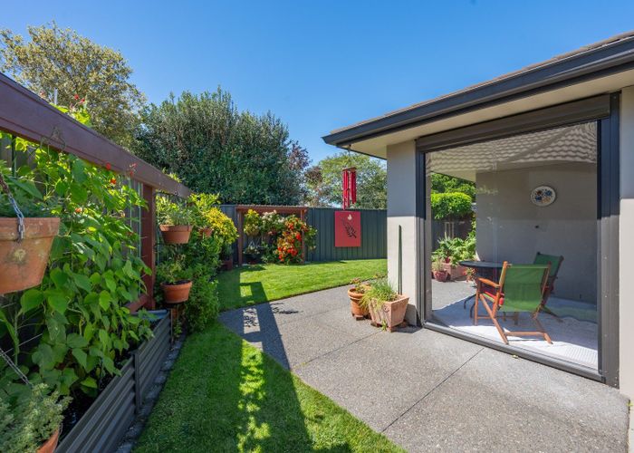  at 5/31 Te Aute Road, Havelock North, Hastings, Hawke's Bay