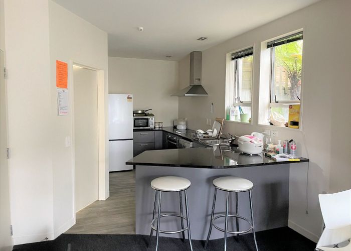  at 6D/73 Buccleugh Street, North East Valley, Dunedin, Otago
