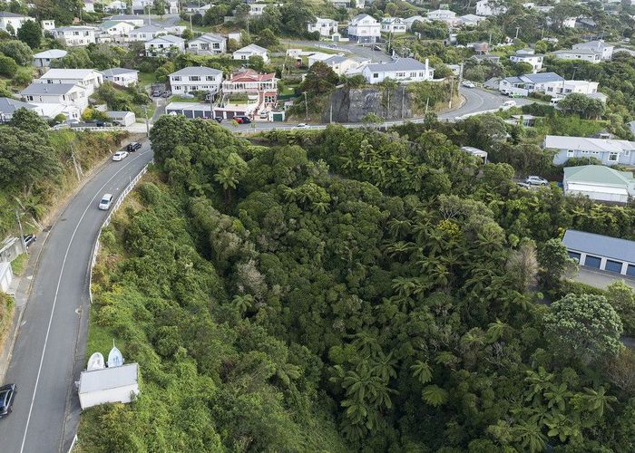  at 72 Farnham Street, Mornington, Wellington, Wellington