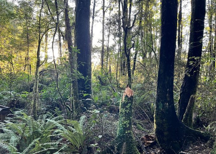  at 1206 Haupiri Kopara Road, HAUPIRI, MOANA